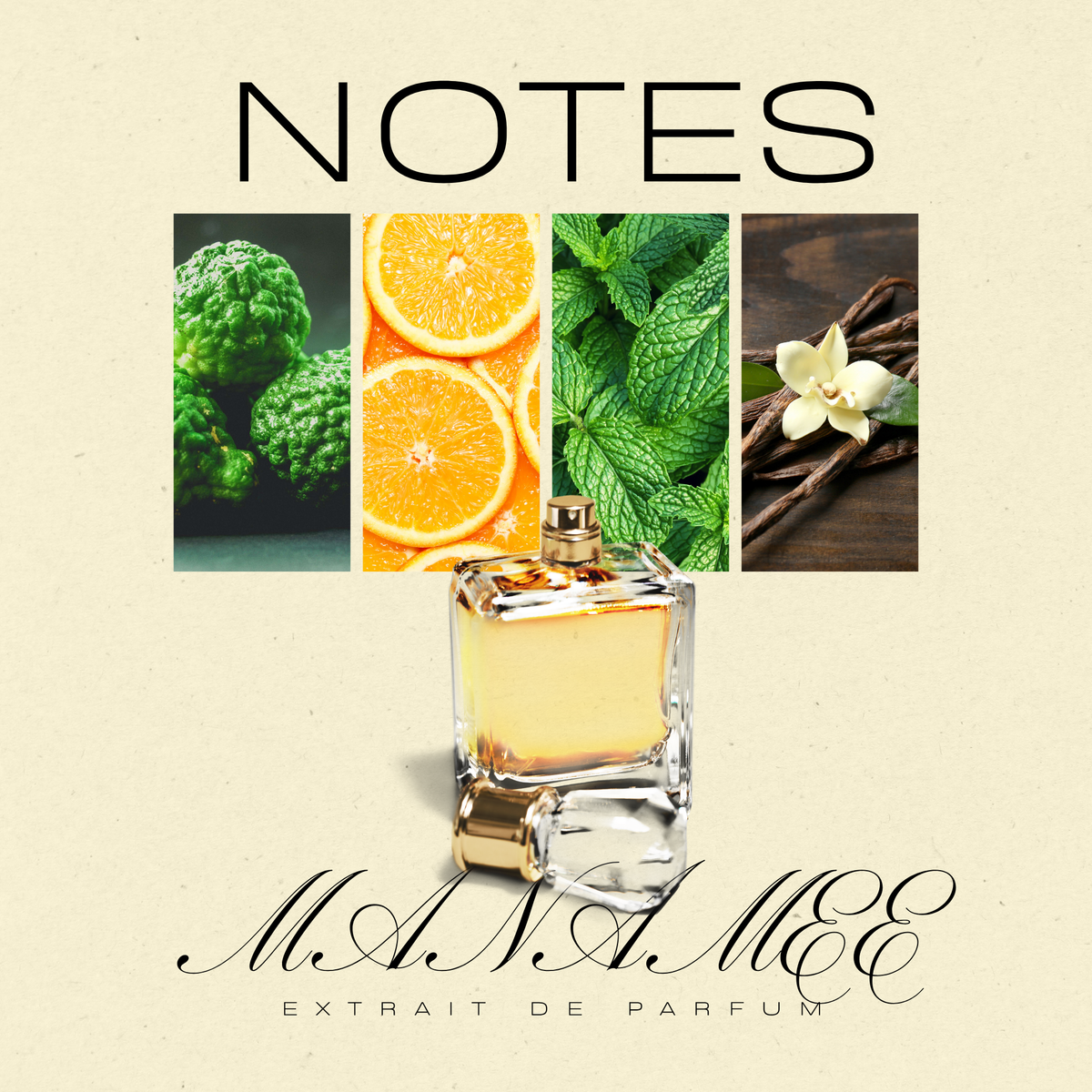 What Are Top, Heart &amp; Base Notes in Perfume? A Beginner’s Guide